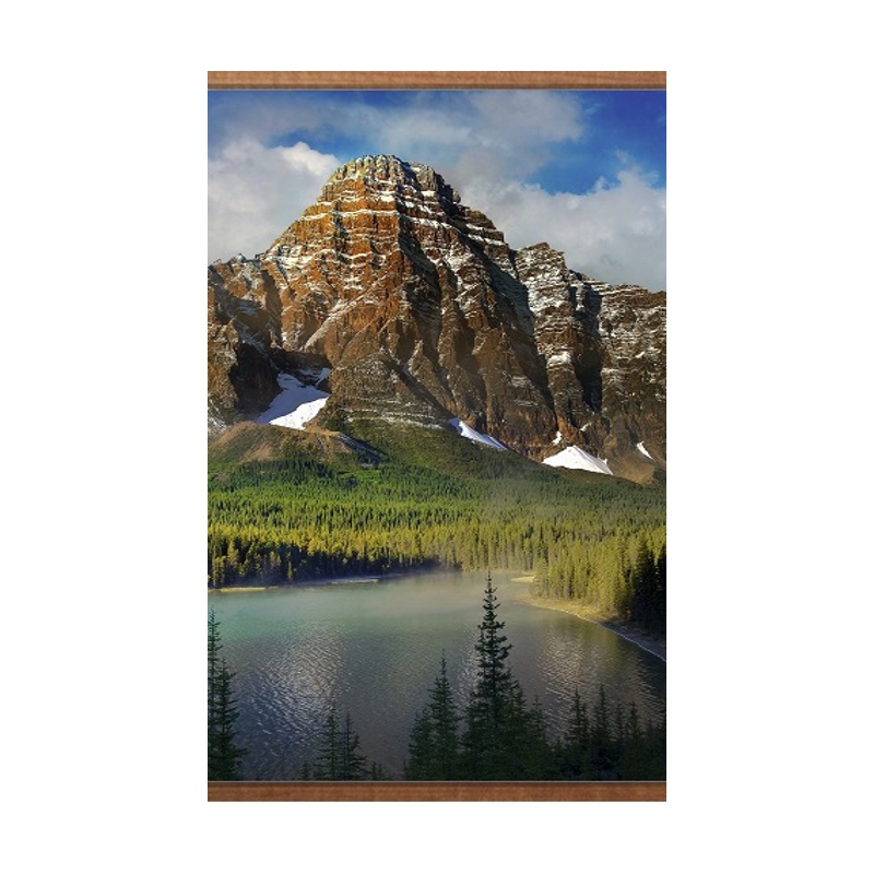 Пленочный обогреватель домашний очаг горы